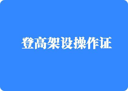 大鸡吧插我免费视频登高架设操作证